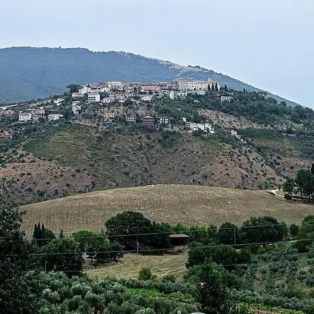 Laperladelfarfa